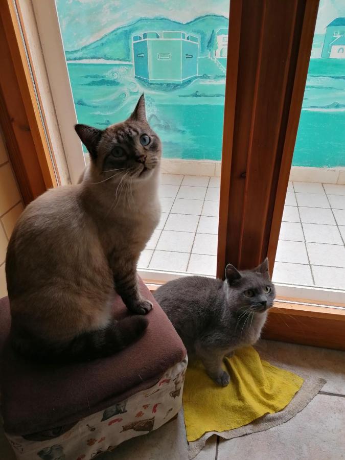 B&B Il Giardinetto Alghero Værelse billede